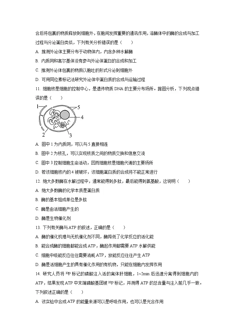 广西柳州高级中学等部分校2024-2025学年高一上学期期末考试生物试题 (Word解析版)第3页