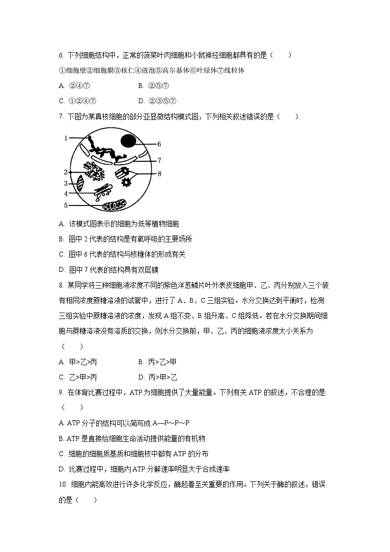 贵州省黔东南苗族侗族自治州2024-2025学年高一上学期1月期末考试生物试题(Word解析版)第2页
