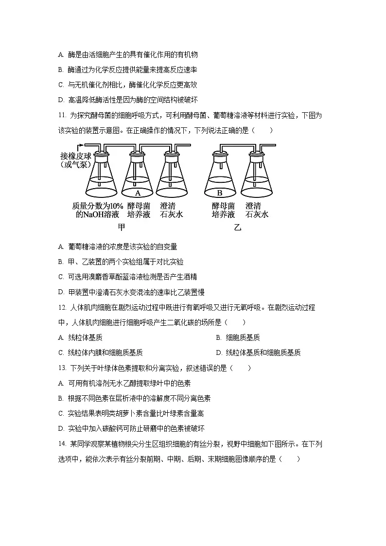 贵州省黔东南苗族侗族自治州2024-2025学年高一上学期1月期末考试生物试题(Word解析版)第3页