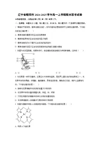 辽宁省朝阳市2024-2025学年高一上学期期末考试生物试题（Word解析版）