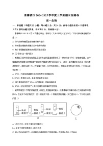 江西省景德镇市2024-2025学年高一上学期期末考试生物试题（含答案）