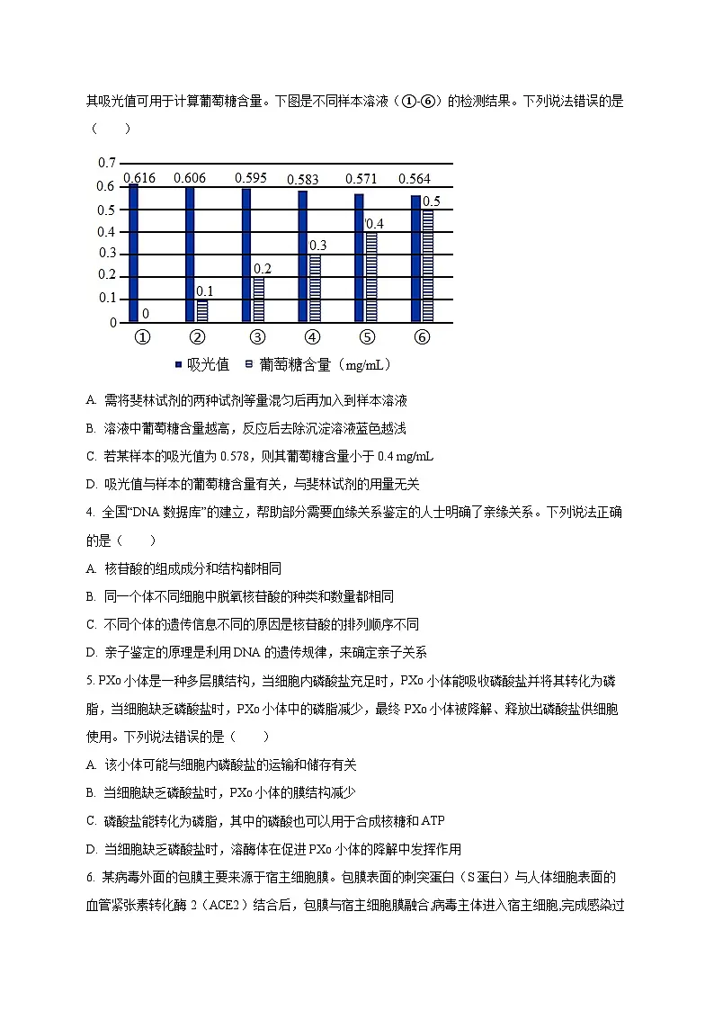 山东省潍坊市昌邑、昌乐、青州、寿光2024-2025学年高一上学期期末考试生物试题(含答案)第2页