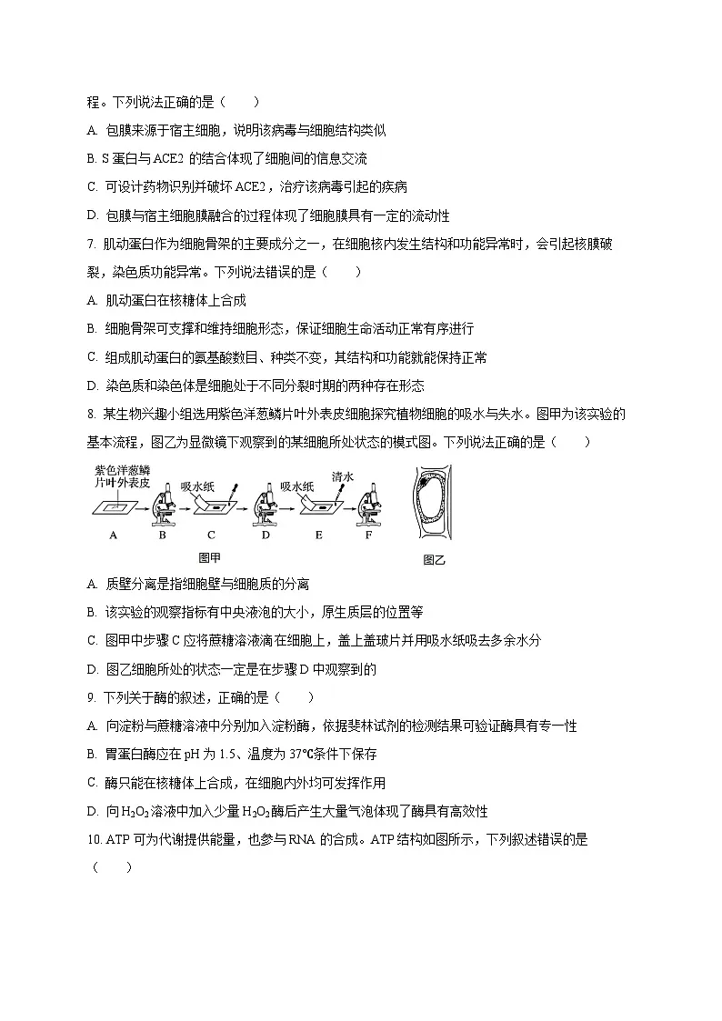 山东省潍坊市昌邑、昌乐、青州、寿光2024-2025学年高一上学期期末考试生物试题(含答案)第3页