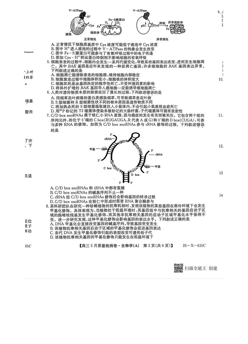 三晋卓越联盟2025届高三5月质量检测卷生物试题第2页