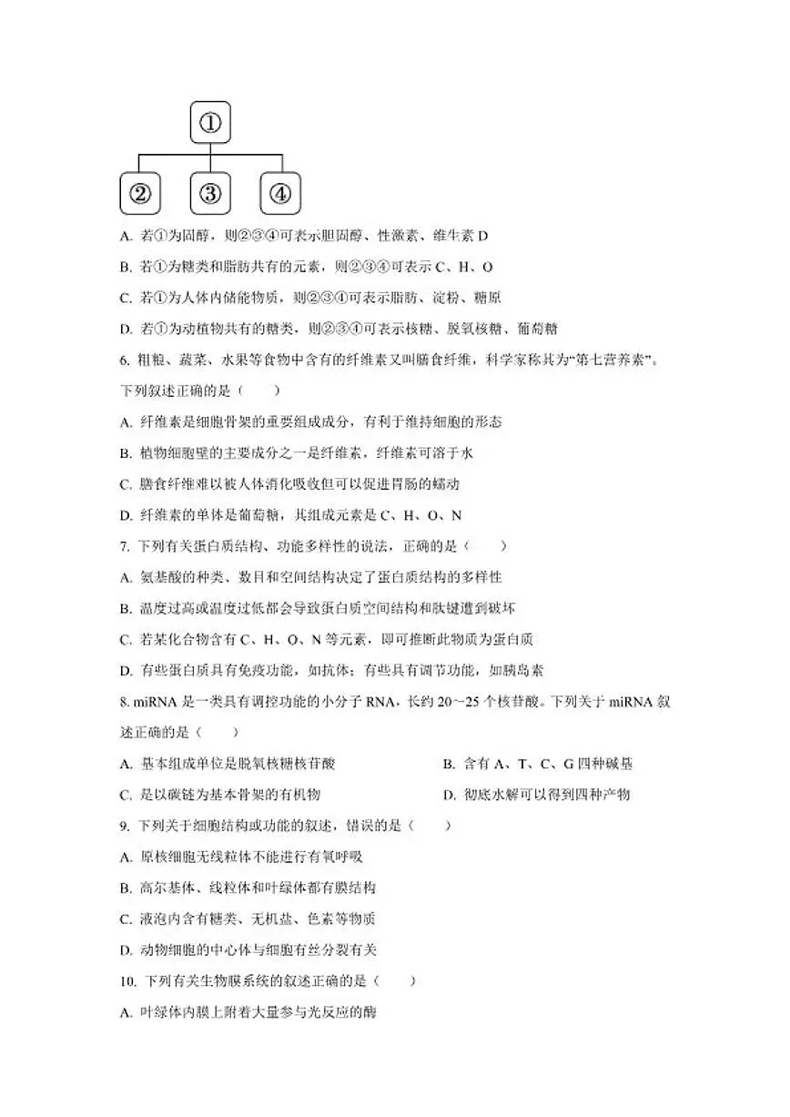 2024-2025学年北京市丰台区高一上学期期末考试生物试题(含答案)第2页