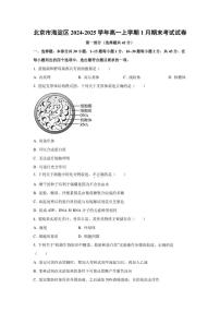 2024-2025学年北京市海淀区高一上学期1月期末考试生物试题