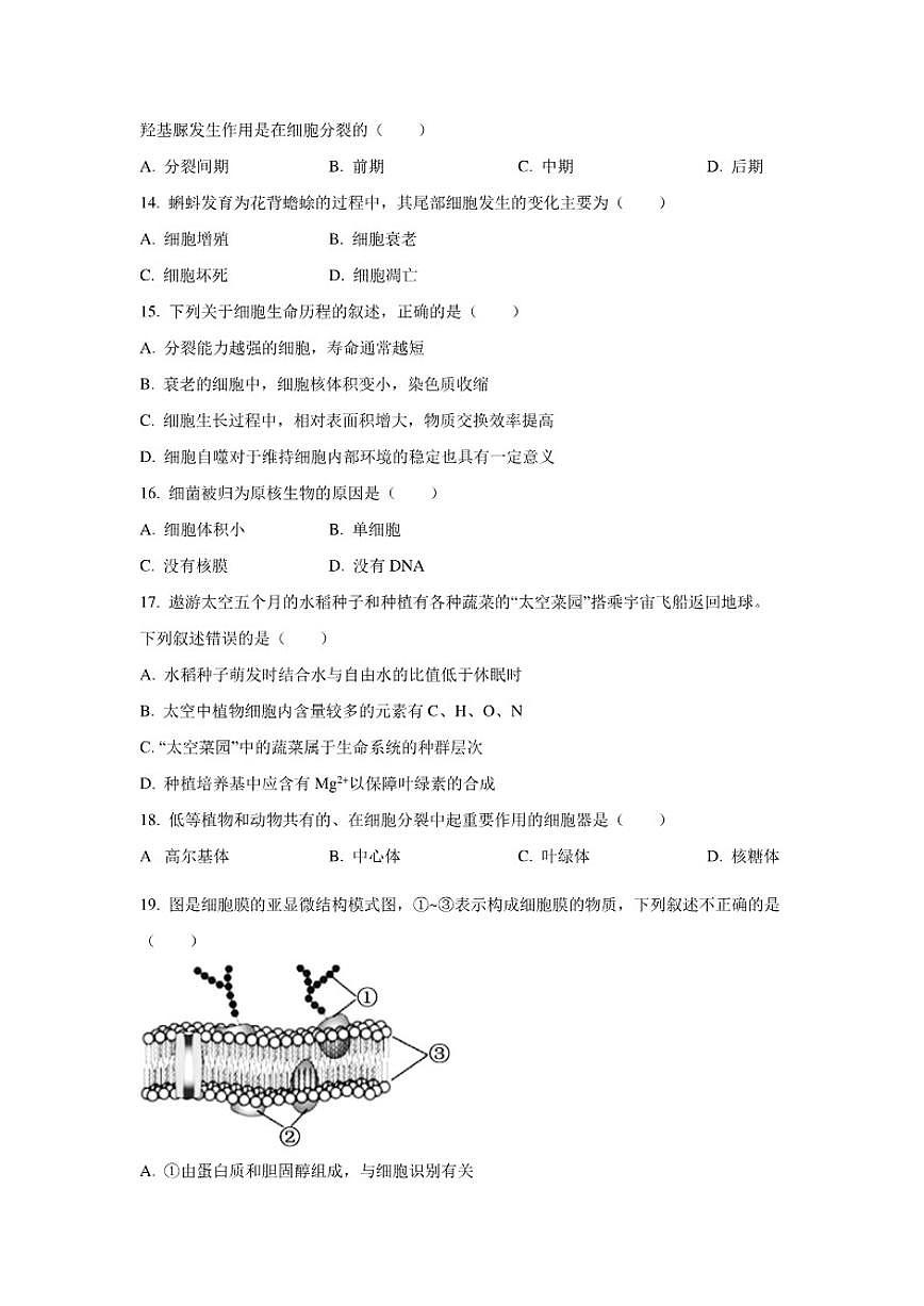 2024-2025学年北京市海淀区高一上学期1月期末考试生物试题第3页