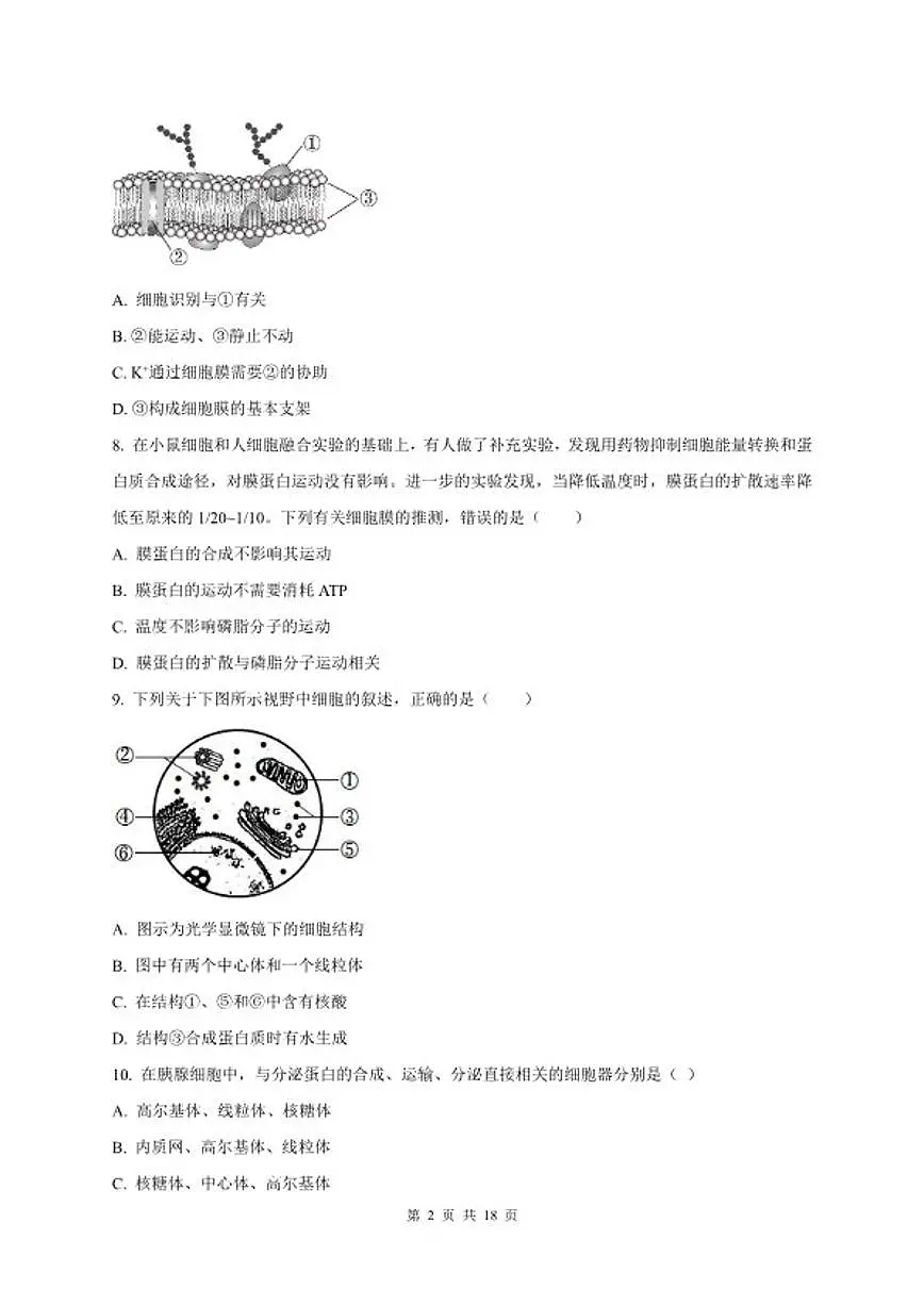 2024-2025学年北京市中国人民大学附属中学高一上学期1月期末考试生物试题(含答案)第2页