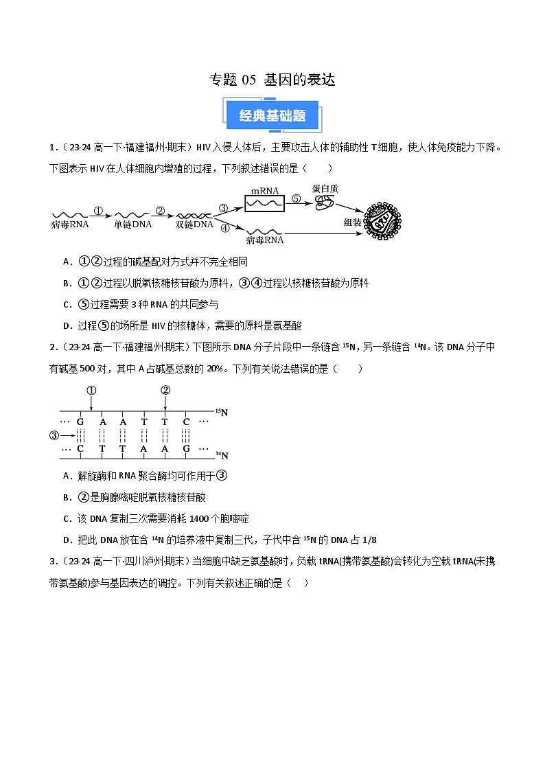 专题05 基因的表达(2019人教版)(原卷版)第1页
