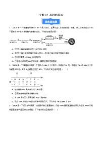专题05 基因的表达(2019人教版)-【好题汇编】备战2024-2025学年高一生物下学期期末真题分类汇编(人教版2019必修2)(原卷版+解析版)