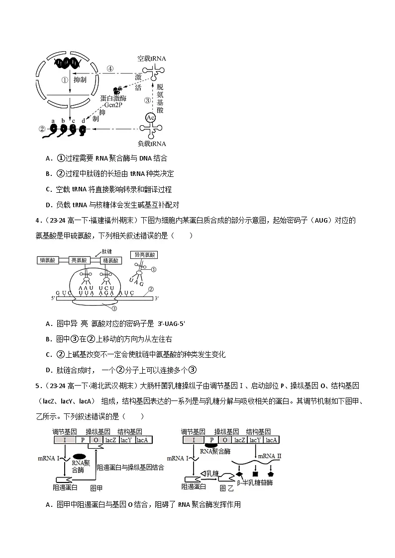 专题05 基因的表达(2019人教版)(原卷版)第2页