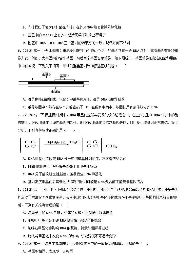 专题05 基因的表达(2019人教版)(原卷版)第3页