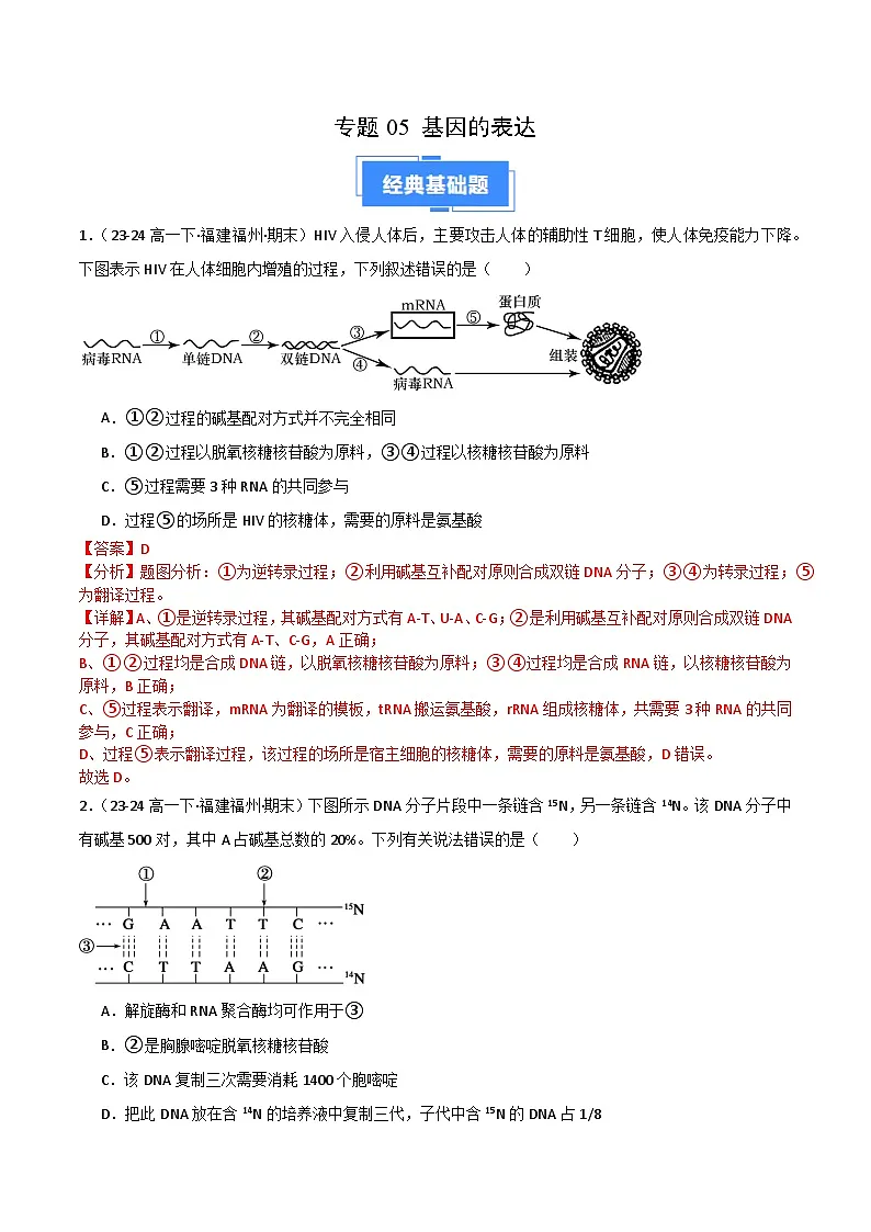 专题05 基因的表达(2019人教版)(解析版)第1页