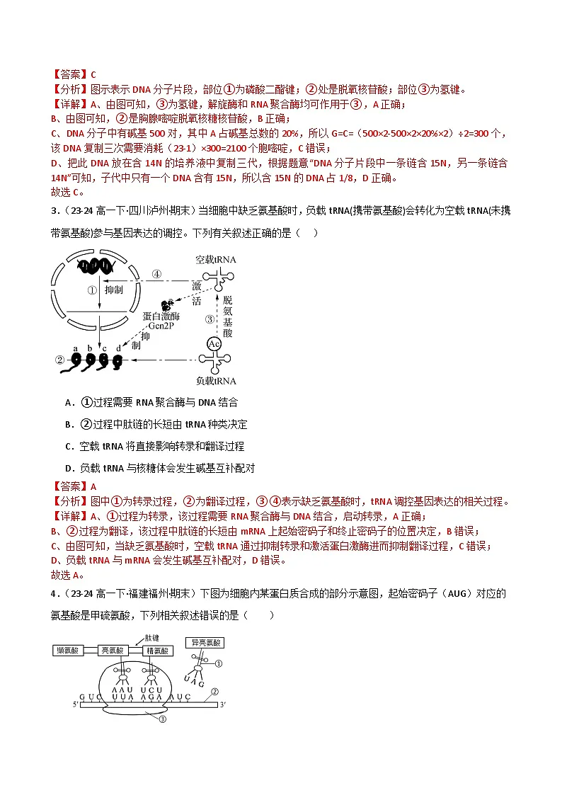 专题05 基因的表达(2019人教版)(解析版)第2页