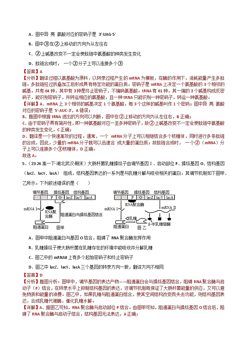 专题05 基因的表达(2019人教版)(解析版)第3页