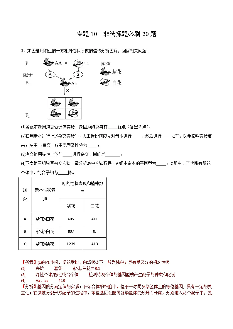 专题10 非选择题必刷20题(2019人教版)(解析版)第1页