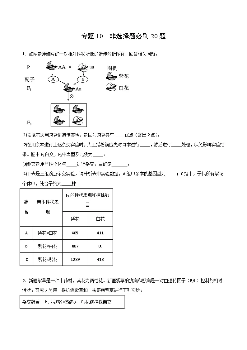 专题10 非选择题必刷20题(2019人教版)(原卷版)第1页