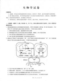 重庆市第八中学2025届高三下学期5月适应性月考卷（八）生物试卷（含答案）