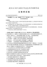 湖北省武汉市2025届高中毕业生四月调研考试生物试卷(含答案)