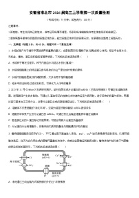 2026届安徽省淮北市高三上学期第一次质量检测生物试卷（学生版）