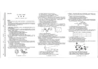 2026届河南省新未来高三年级上学期2月期末测评生物学试卷（含解析）