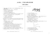 安徽省A10联盟2025-2026学年上学期期末高一生物学B试卷及答案