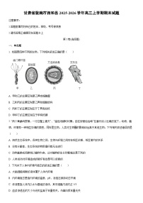 2025-2026学年甘肃省陇南市西和县高三上学期期末生物试卷(学生版)