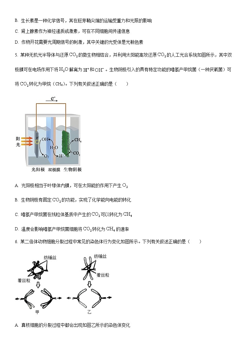 2025-2026学年河北省邢台市高三上学期第四次联考生物试卷(学生版)第2页