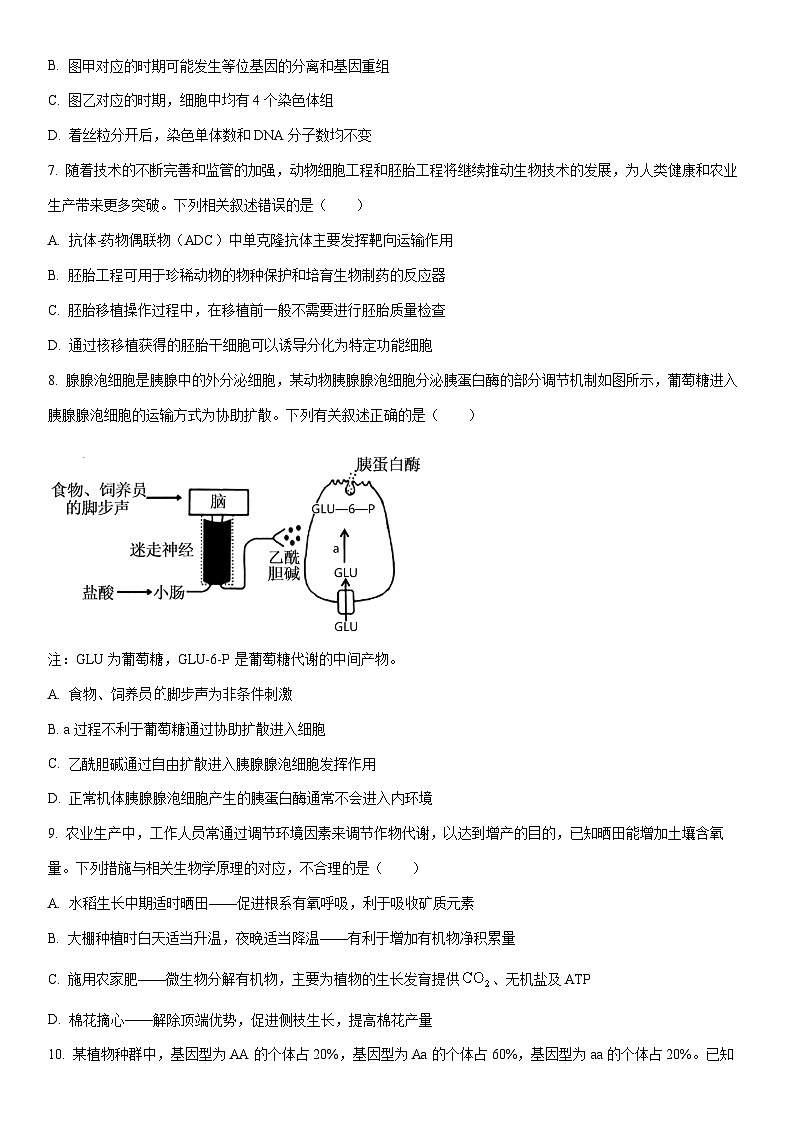 2025-2026学年河北省邢台市高三上学期第四次联考生物试卷(学生版)第3页