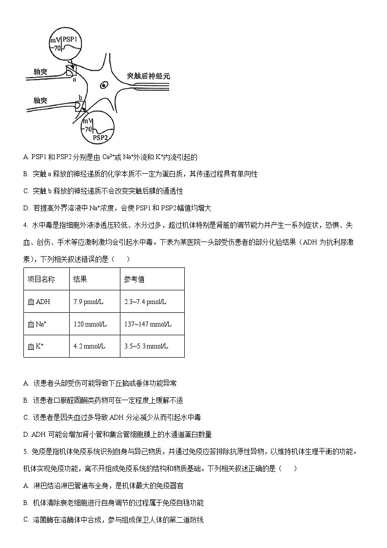 2025-2026学年河北省沧州市多校联考高二上学期12月第三次月考生物试卷(学生版)第2页