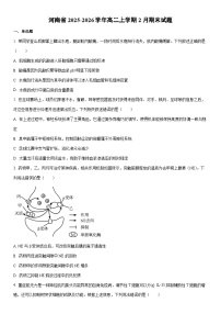2025-2026学年河南省高二上学期2月期末生物试卷（学生版）