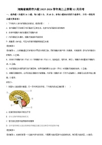2025-2026学年河南省南阳市六校高二上学期12月月考生物试卷（学生版）