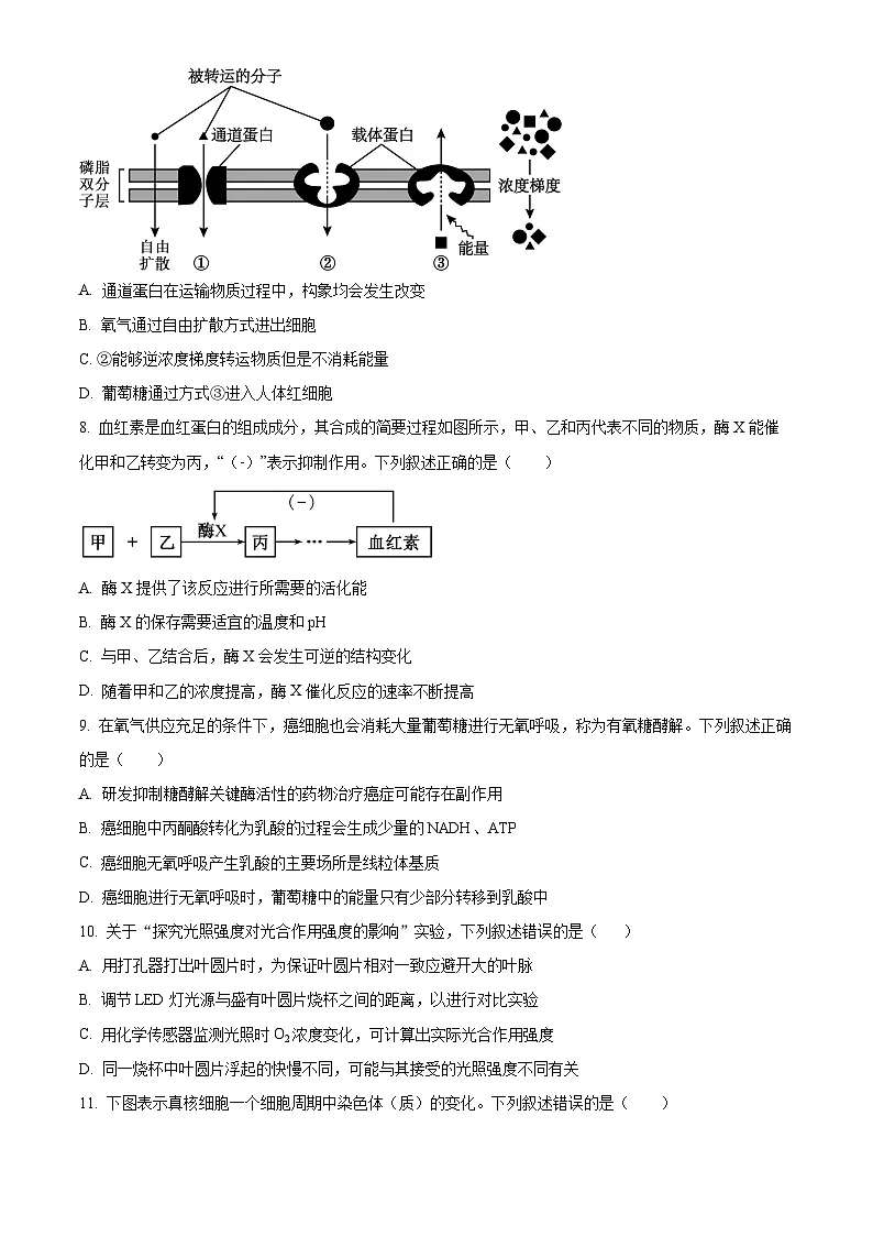江苏宿迁市2025-2026学年高一年级上学期质量监测上学期期末生物试卷(试卷+解析)第3页