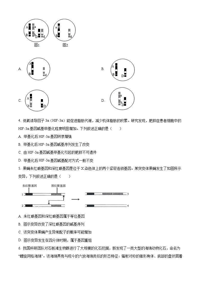 江西吉安市2025-2026学年高三上学期期末教学质量检测生物试题(试卷+解析)第2页