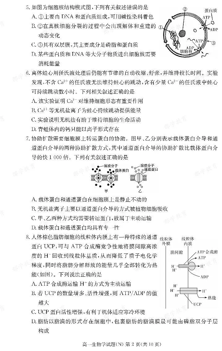 生物试卷(高一期末N)第2页