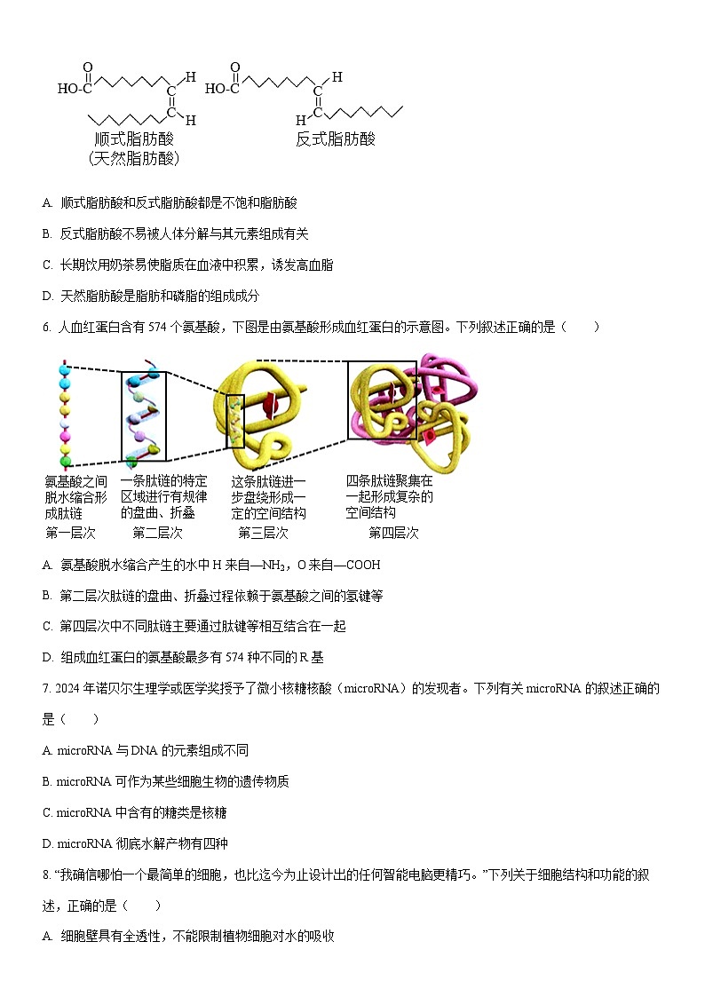 2024-2025学年江西省吉安市高一上学期期末教学质量检测生物试卷(学生版)第2页