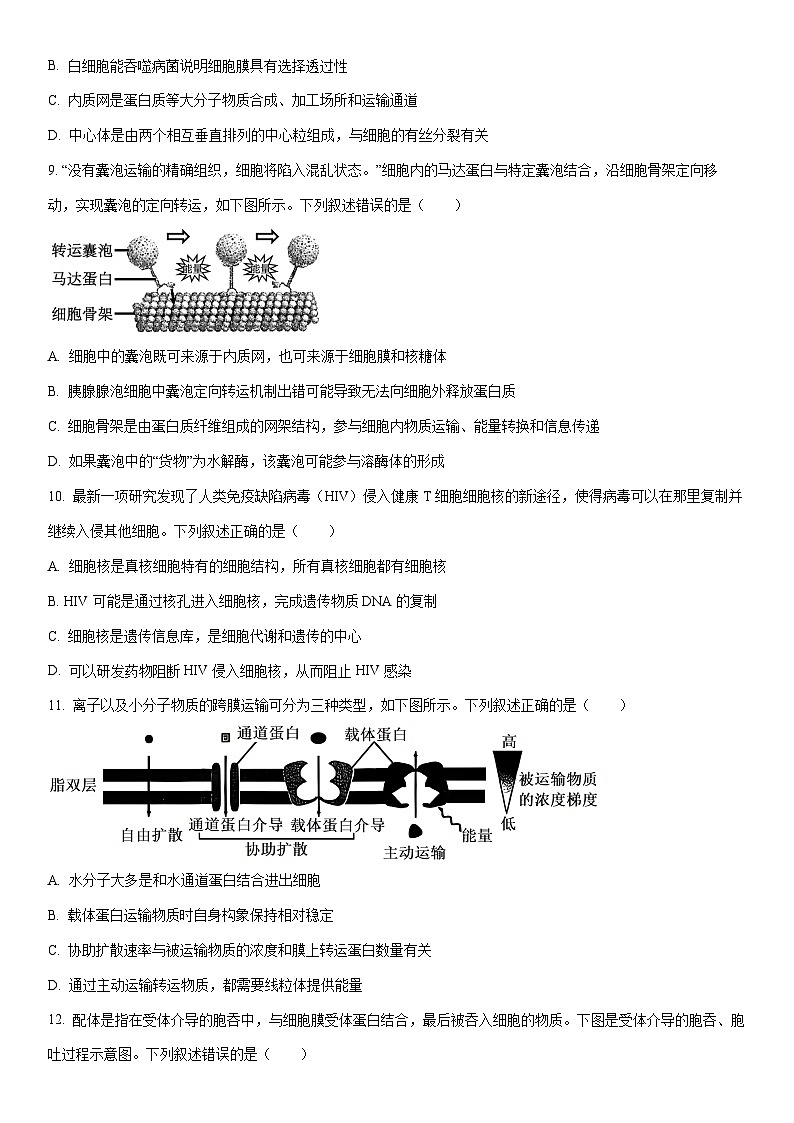 2024-2025学年江西省吉安市高一上学期期末教学质量检测生物试卷(学生版)第3页