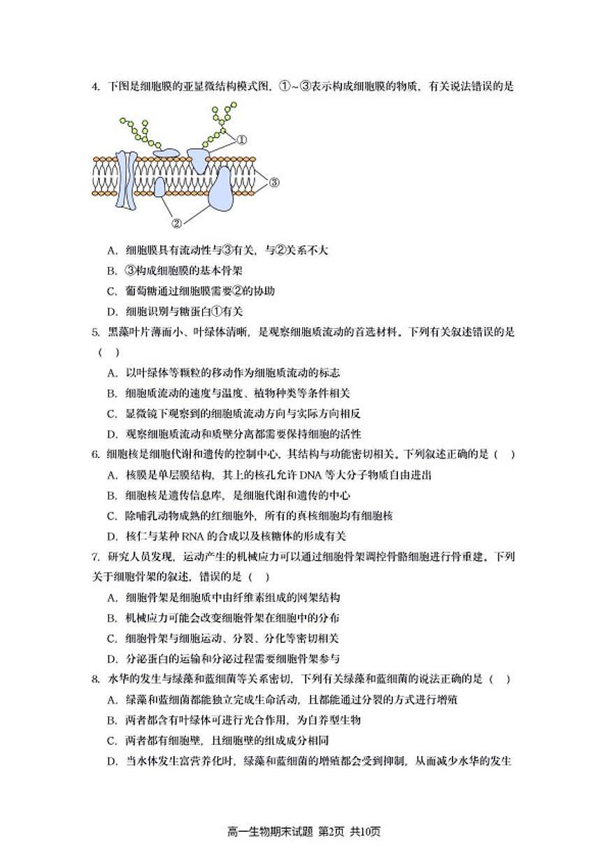 2025-2026学年江苏省连云港市灌南县度高一第一学期期末生物学试题(含答案)第2页