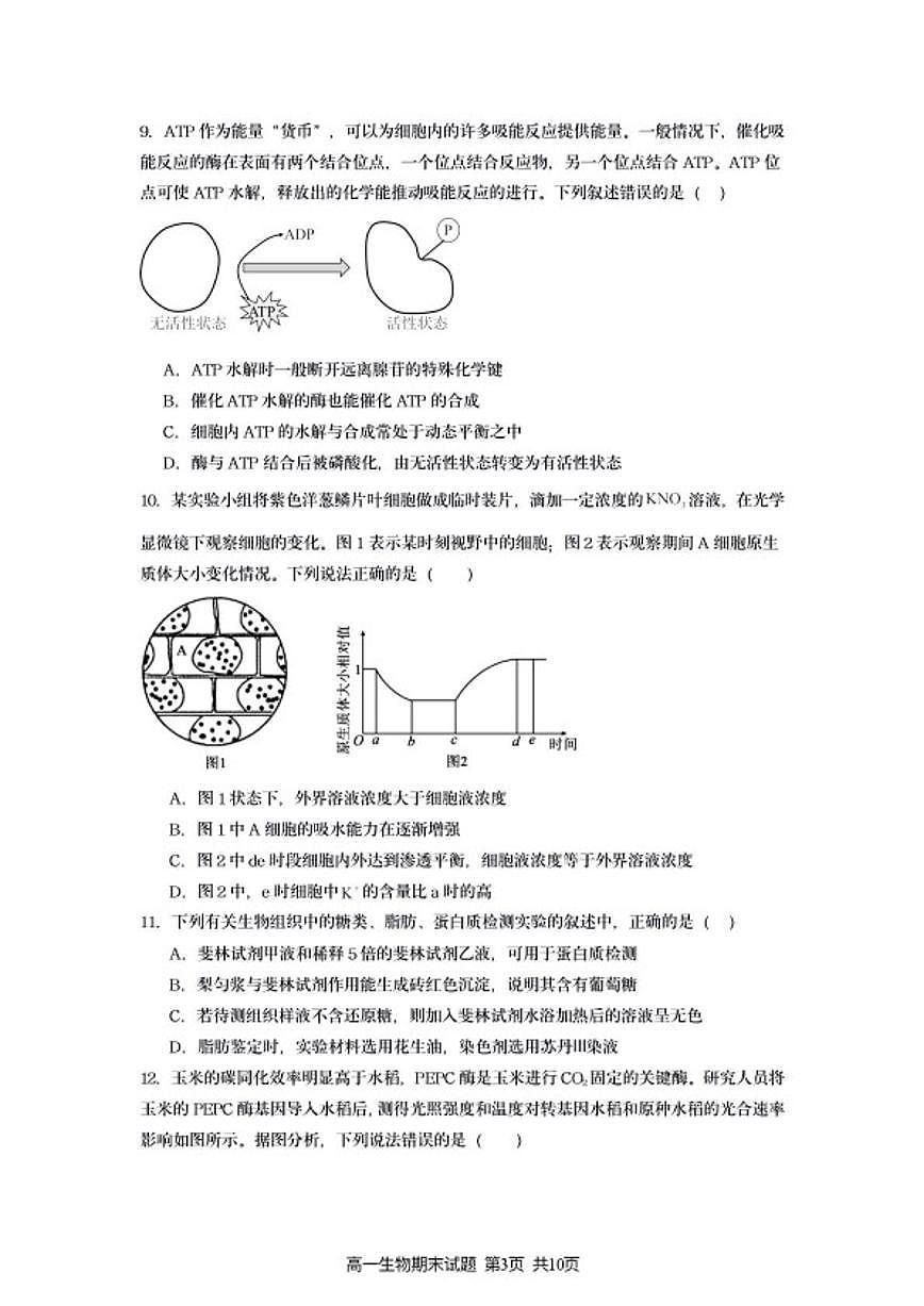 2025-2026学年江苏省连云港市灌南县度高一第一学期期末生物学试题(含答案)第3页