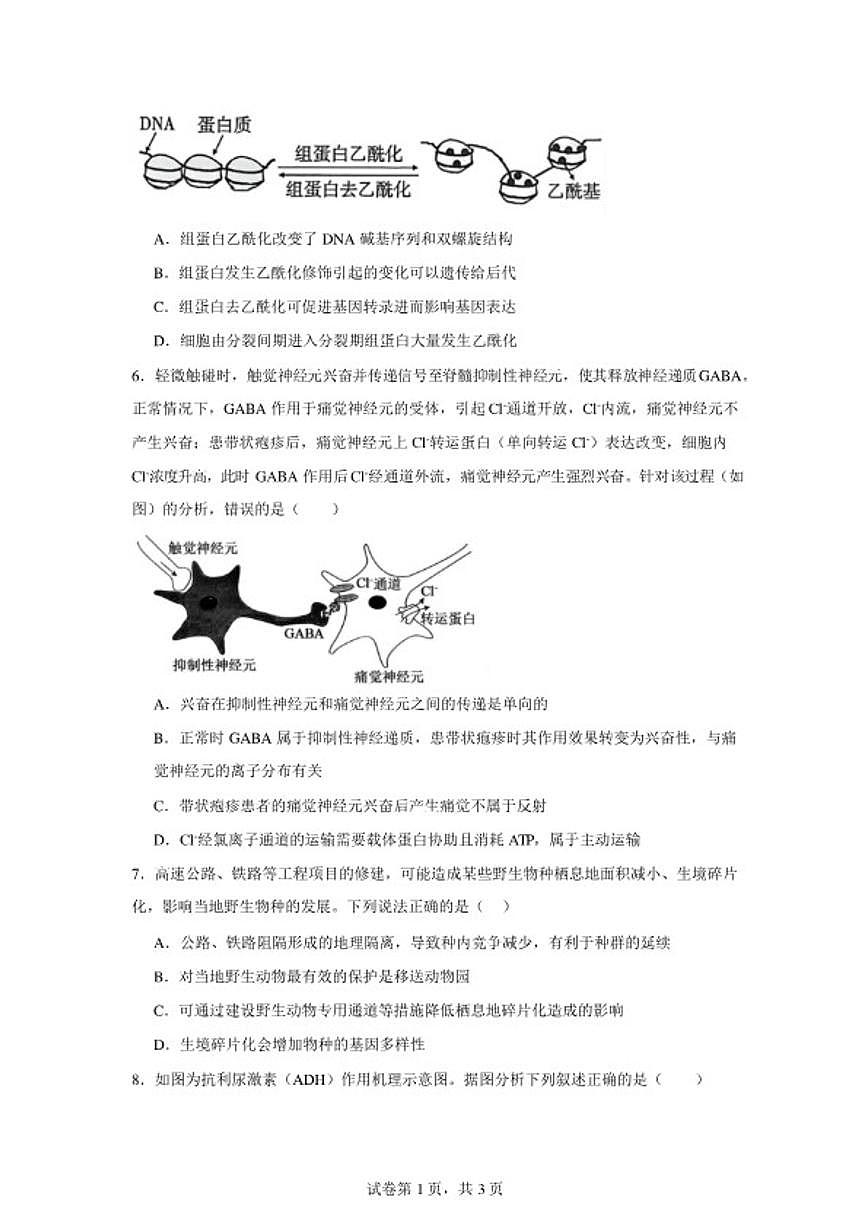 2025-2026学年湖南省岳阳市岳阳县第一中学高三上学期2月期末生物学试题(含答案)第2页