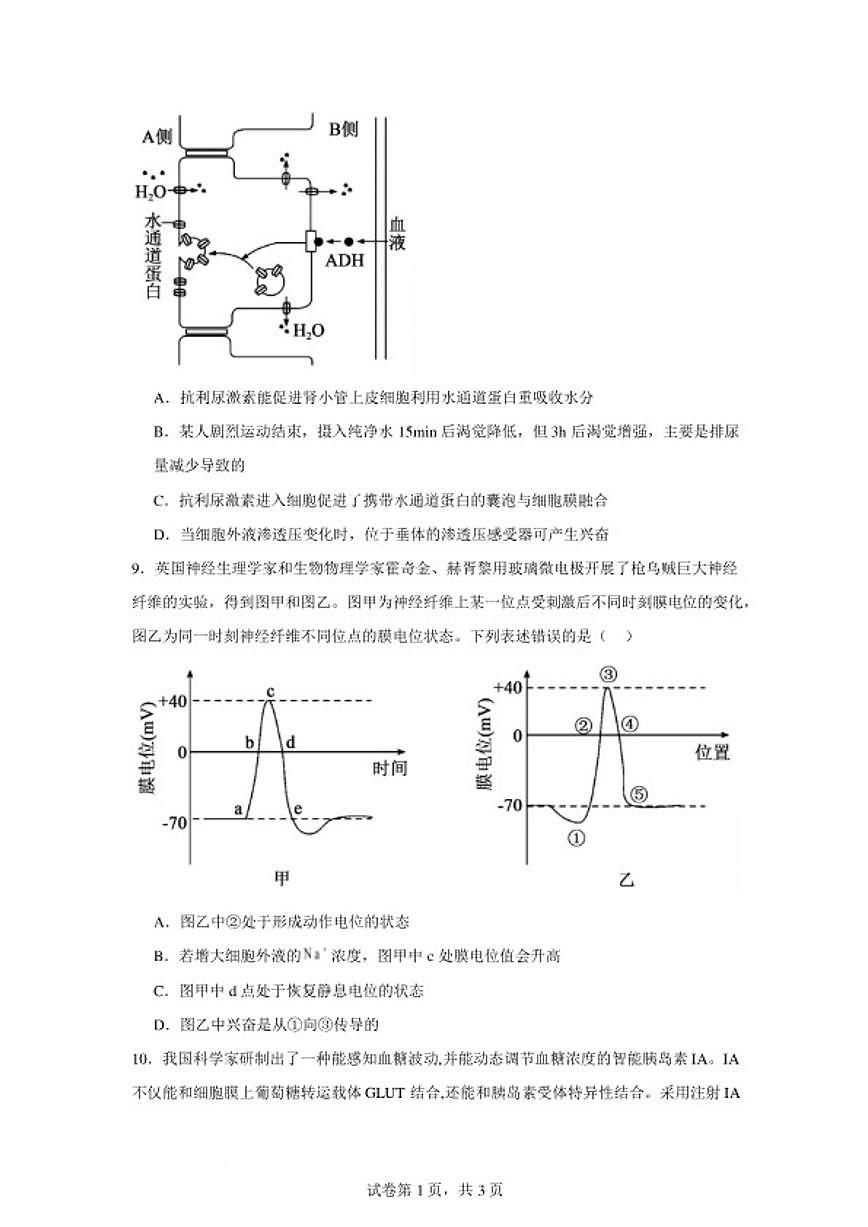 2025-2026学年湖南省岳阳市岳阳县第一中学高三上学期2月期末生物学试题(含答案)第3页