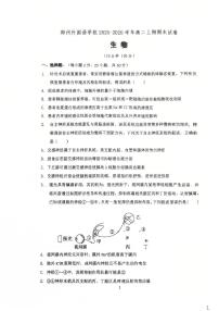 生物-河南省郑州外国语学校2025-2026学年高二上学期期末试卷及答案