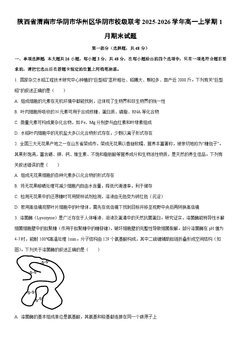 2025-2026学年陕西省渭南市华阴市华州区华阴市校级联考高一上学期1月期末生物试卷(学生版)第1页