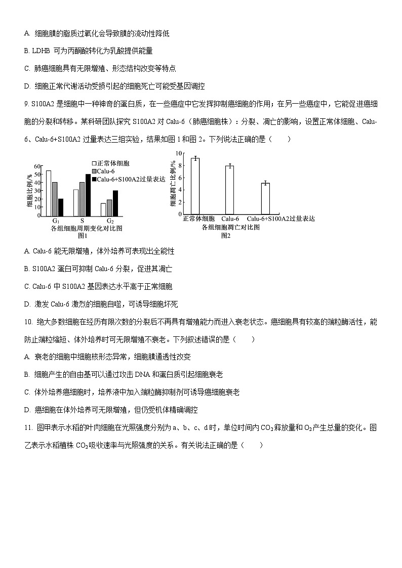 2025-2026学年陕西省渭南市华阴市华州区华阴市校级联考高一上学期1月期末生物试卷(学生版)第3页