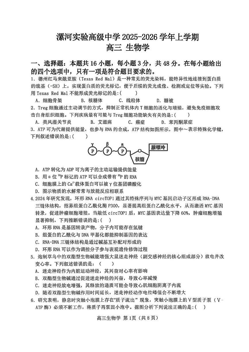 2025-2026学年河南漯河实验高级中学上学期期末考试高三生物学(含答案)第1页
