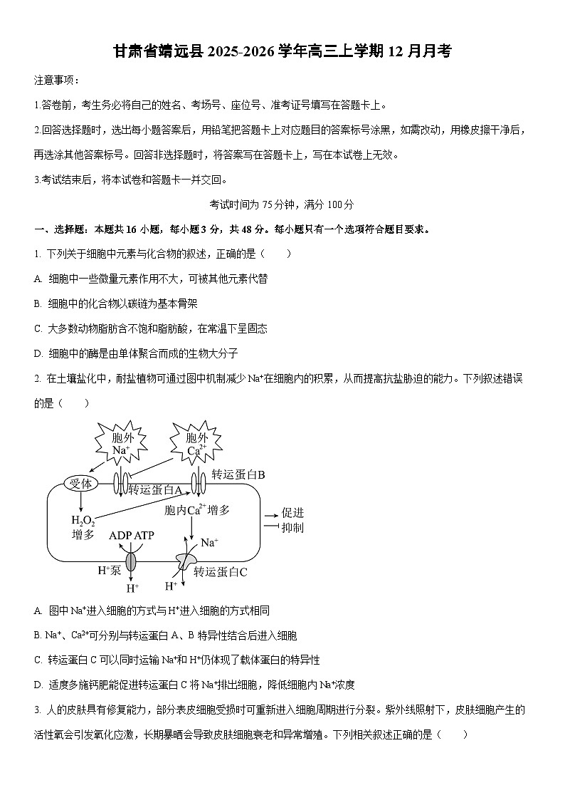 2025-2026学年甘肃省靖远县高三上学期12月月考生物试卷(学生版)第1页