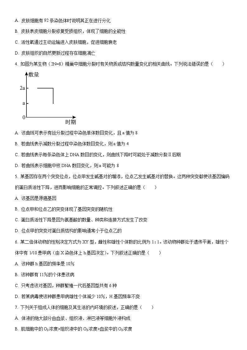 2025-2026学年甘肃省靖远县高三上学期12月月考生物试卷(学生版)第2页