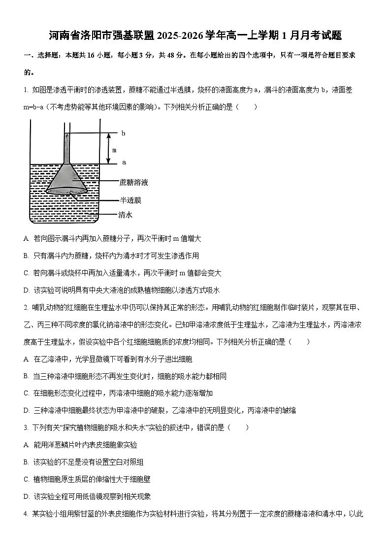 2025-2026学年河南省洛阳市强基联盟高一上学期1月月考生物试卷(学生版)第1页