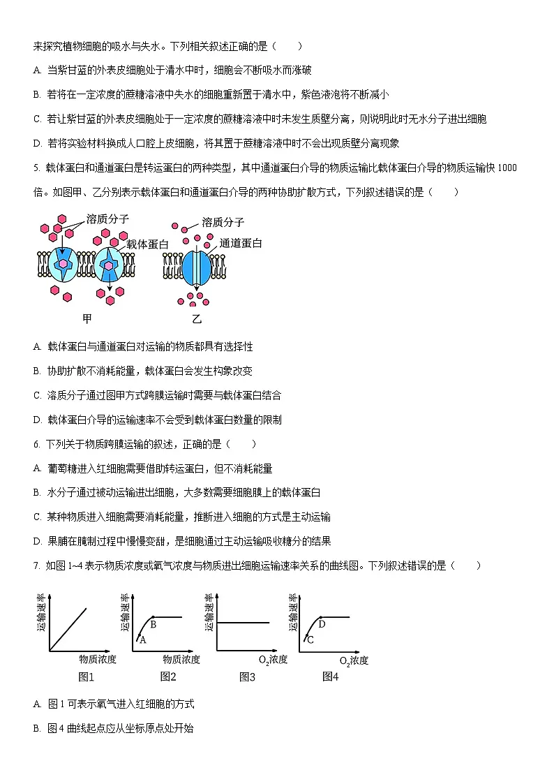 2025-2026学年河南省洛阳市强基联盟高一上学期1月月考生物试卷(学生版)第2页