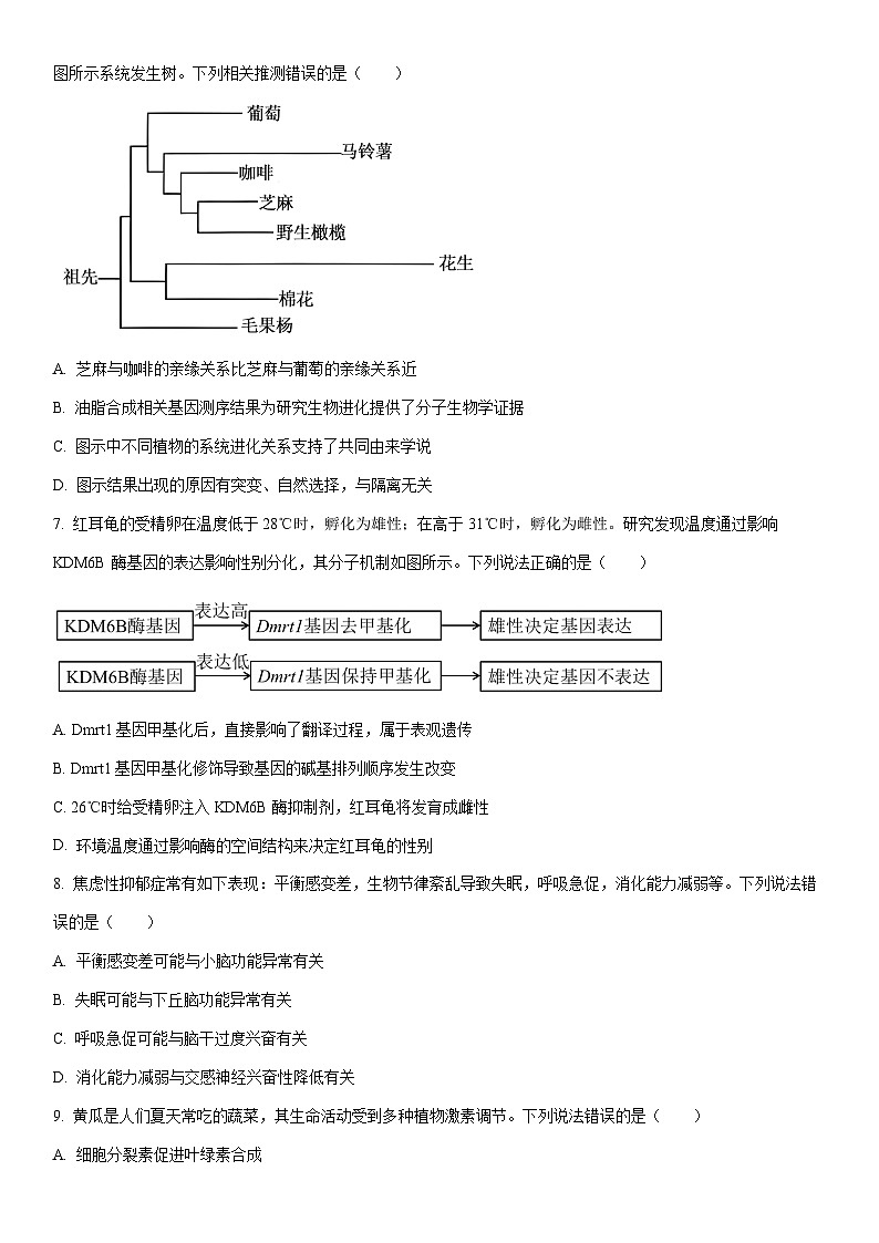 2025-2026学年河北省雄安新区高三上学期1月期末生物试卷(学生版)第2页